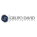 Grupo David